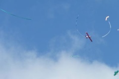 p1010163