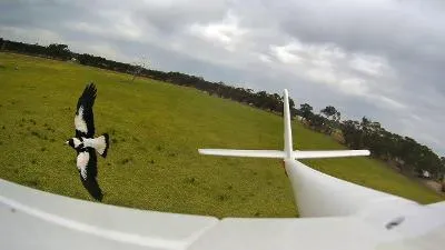 Central Victoria Radio Control Modellers